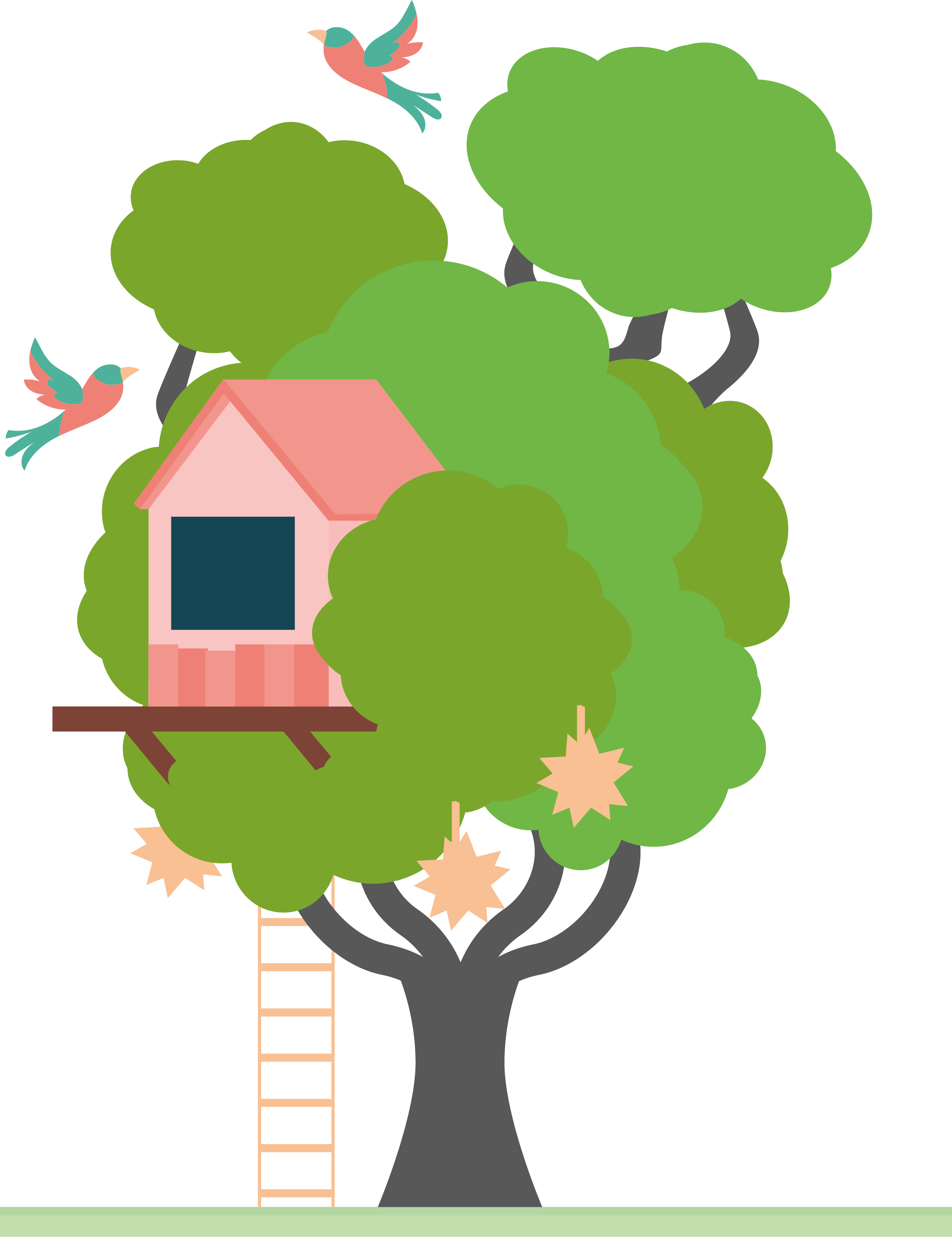 Ilustración de una casa del árbol de Quinta Pichón; el estilo es minimalista con colores vivos y aves volando alrededor. 