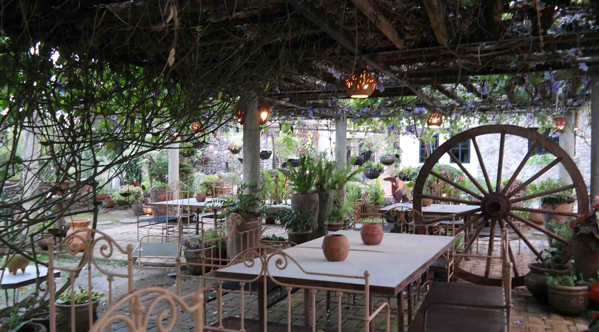 Área de pérgolas de Quinta Pichón con algunas mesas y sillas; en la parte superior de la estructura hay naturaleza que cubre la zona como un tipo de techo.