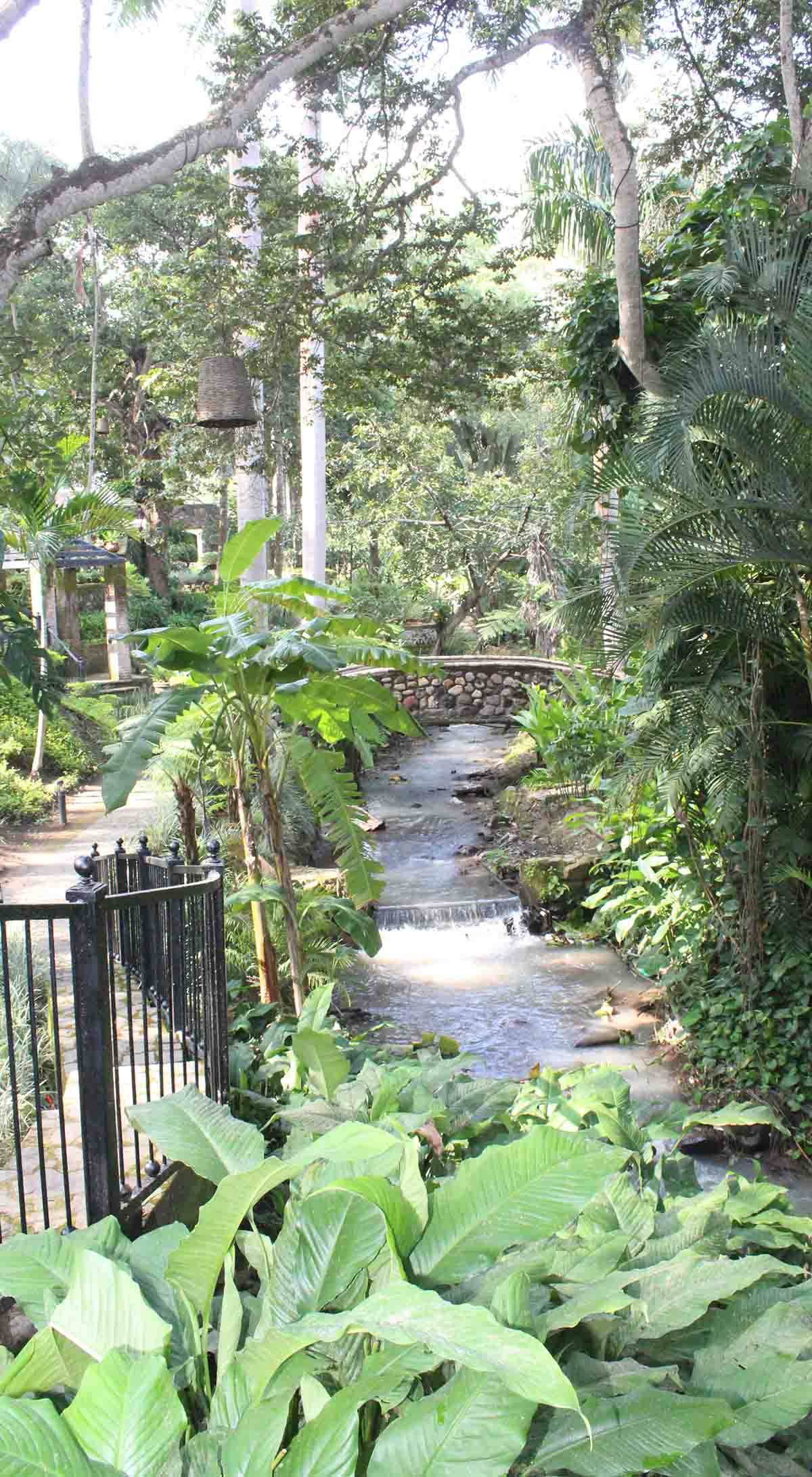 Área de Quinta Pichón donde se encuentra un puente y un río, hecho de mampostería rodeado de naturaleza.