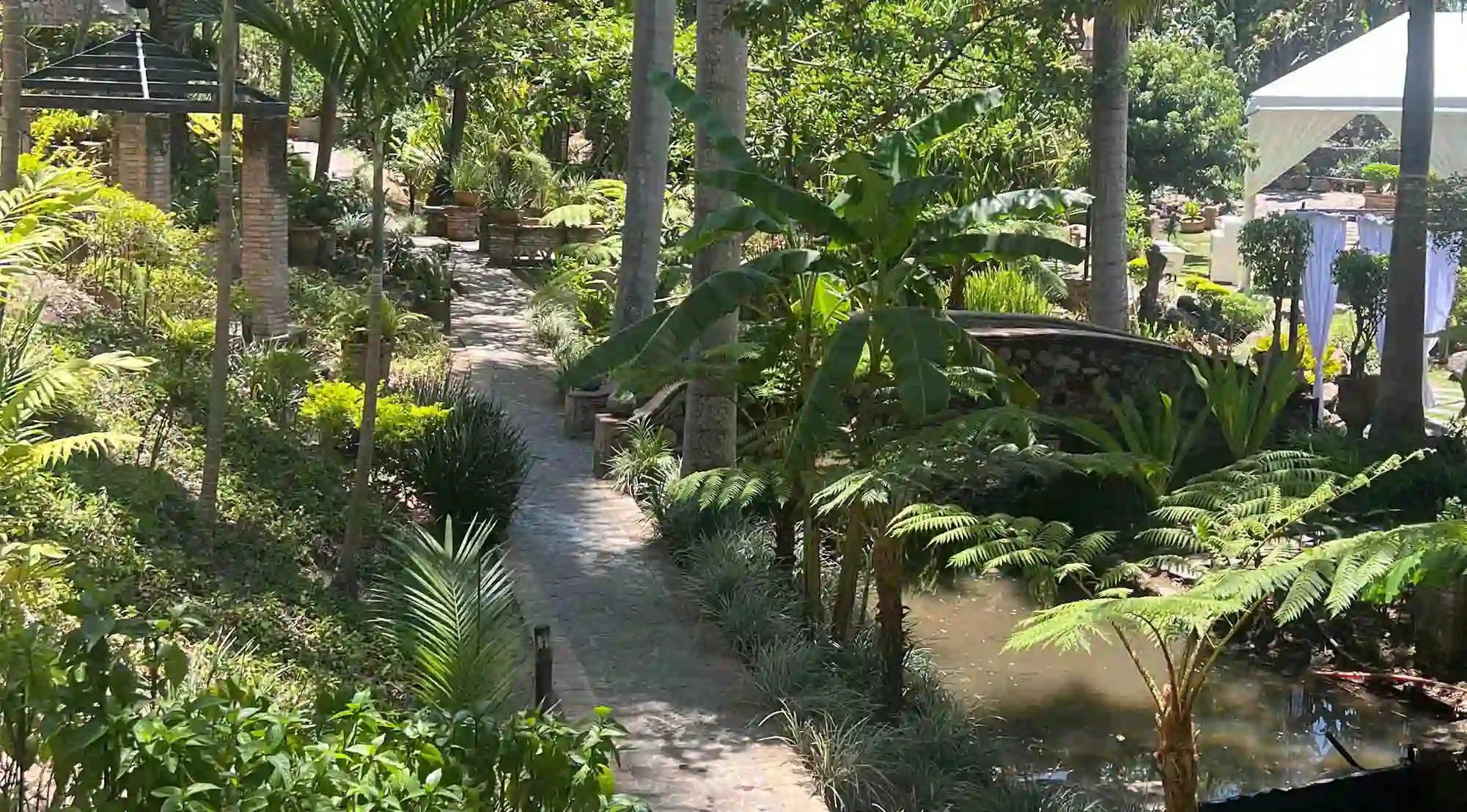 Camino de concreto dentro de Quinta Pichón rodeado de abundante naturaleza.