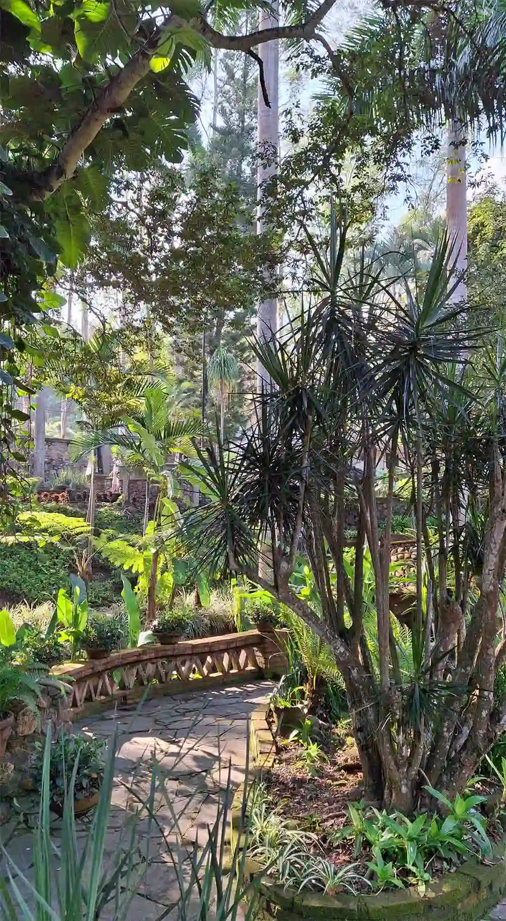 Camino de Quinta Pichón hhecho de mampostería rodeado de naturaleza.