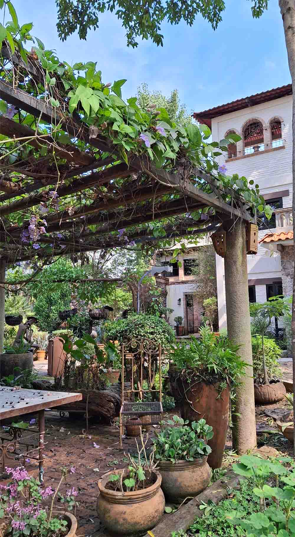 Área de pérgolas de Quinta Pichón con algunas mesas y sillas; en la parte superior de la estructura hay naturaleza que cubre la zona como un tipo de techo.