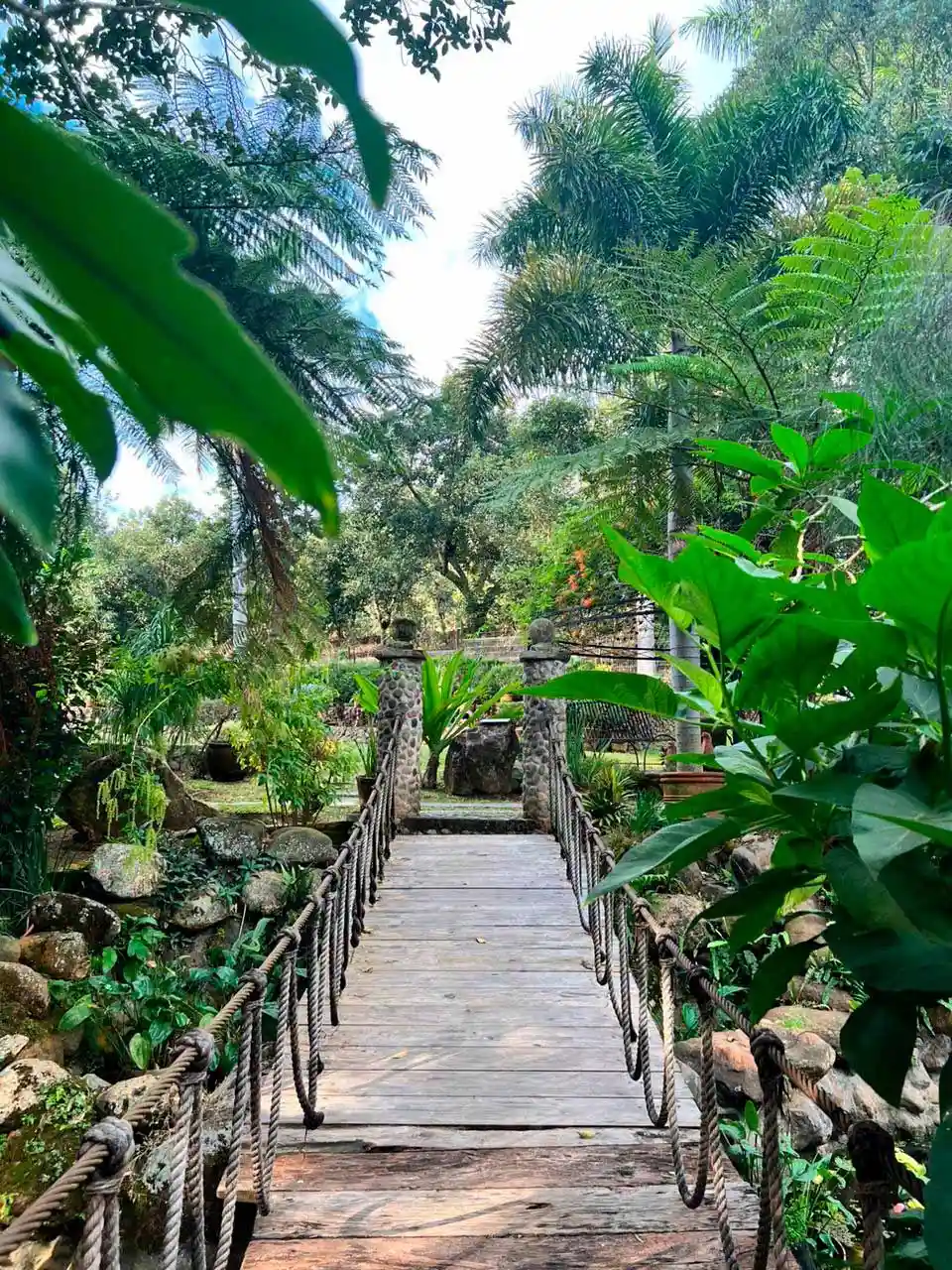 Área de Quinta Pichón donde se encuentra un puente de madera rodeado de naturaleza.