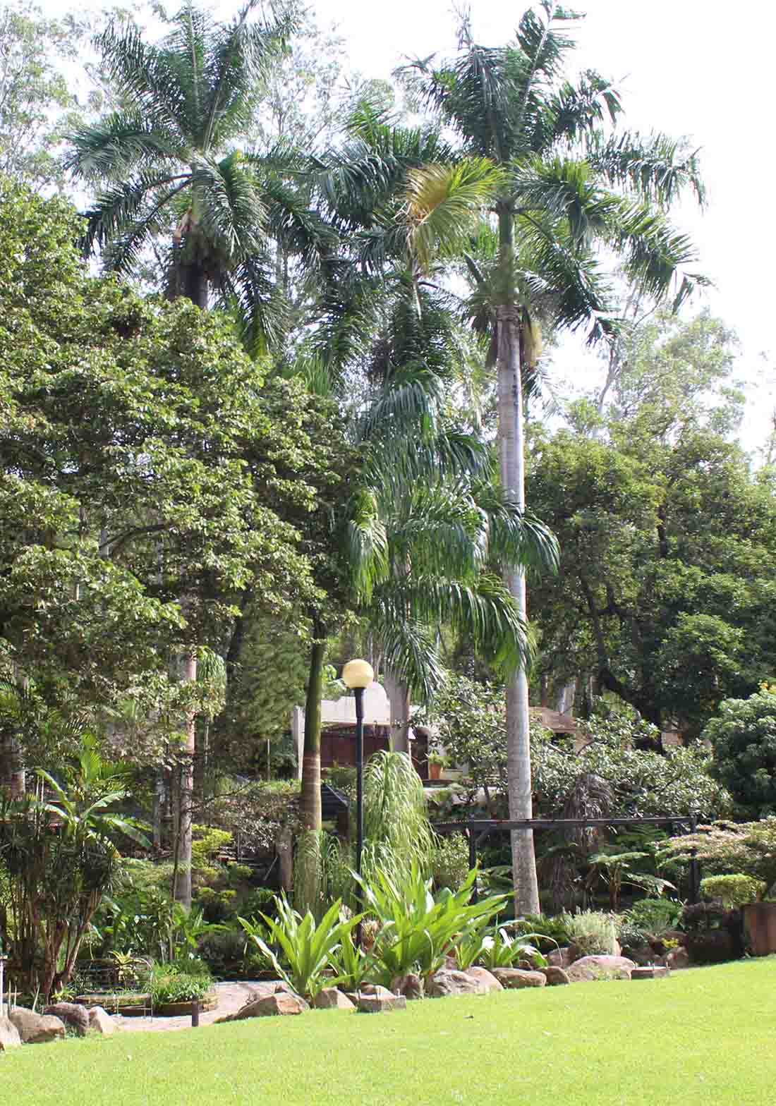 Jardín de Quinta Pichón rodeado de árboles, palmeras y jardineras.