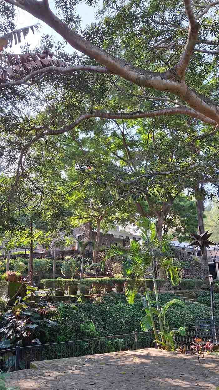 Zona de Quinta Pichón rodeada de árboles, jardineras y un camino empedrado.