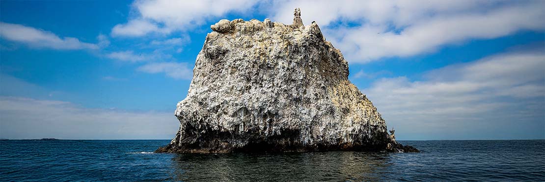 Génesis de Tatéi Haramara la primera piedra sólida.